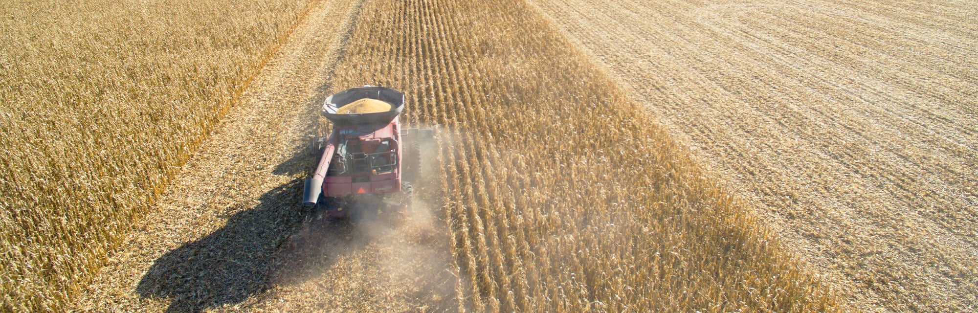 Case IH harvester