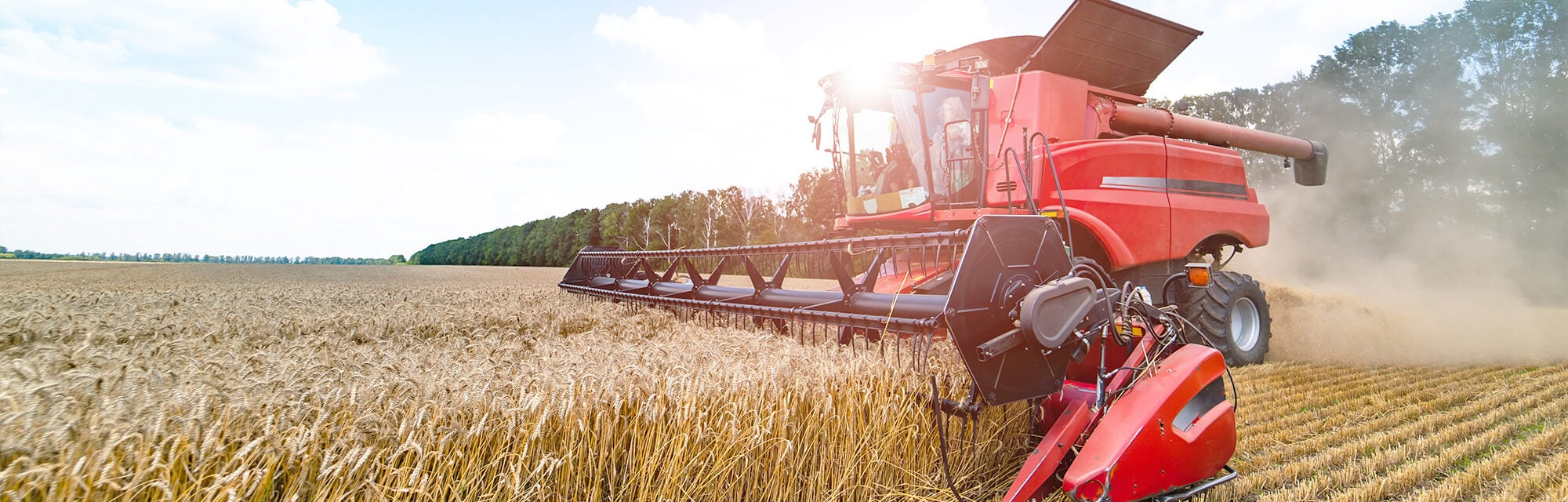 Case IH Combine